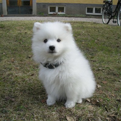 Lennart!