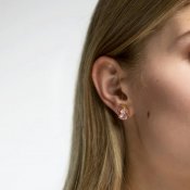 Caroline Svedbom - Mini Drop Stud Earrings Crystal Rhodiumpläterat