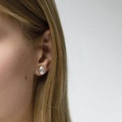 Caroline Svedbom - Petite Drop Earrings Crystal Rhodiumpläterat