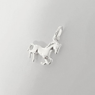 Guld Carlsén - Silverhänge Häst